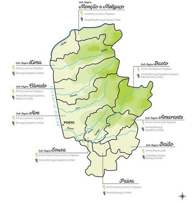 비뉴 베르데 세부산지. 비뉴베르데포도재배협회.