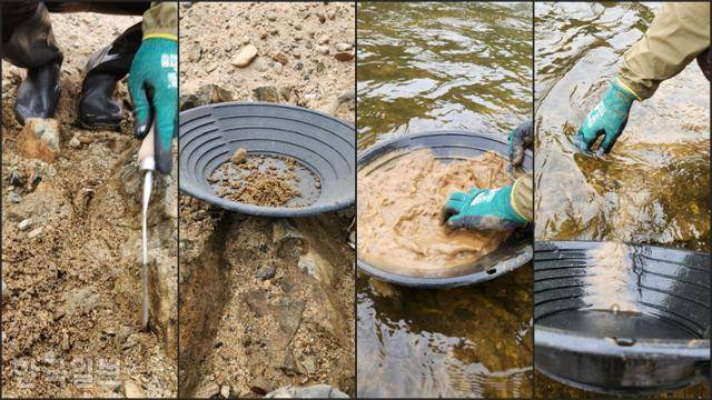 사금 채취 과정. 사금이 있을 만한 장소의 흙을 파내 접시에 담고 냇물을 흘려 보낸 뒤 남은 미세사금을 골라내면 된다. 이서현 기자