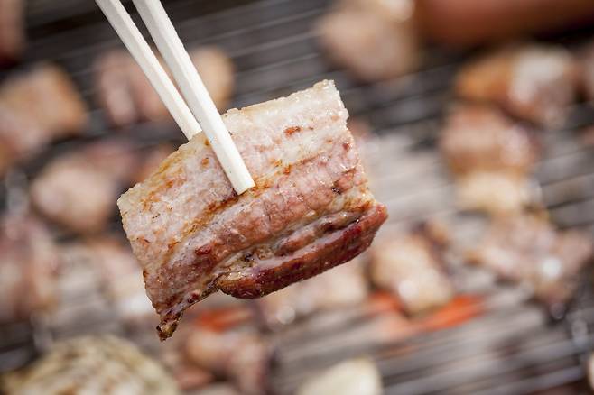 돼지고기 비계에는 불포화지방산이 풍부하고, 중금속 해독에도 효과적이다./사진=클립아트코리아