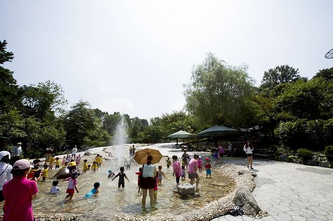 서울어린이대공원에서 여름철 물놀이를 즐기는 시민들의 모습. /서울시설공단 제공