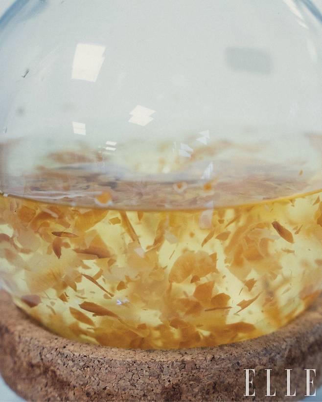 레드 까멜리아의 꽃잎은 물론 씨앗과 껍질까지 제품에 활용하고 있다.