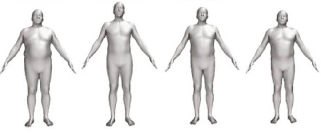 비만인 사람과 키가 크고 살이 복부 쪽에 몰린 사람의 대장암 발병 위험이 높다는 연구 결과가 나왔다. 왼쪽부터 순서대로 일반적인 비만 체형, 허리 대 엉덩이 비율이 낮고 키가 큰 체형, 키가 크고 복부비만인 체형, 근육질 체형이다./사진=Science Advances 논문 원문 자료 캡처