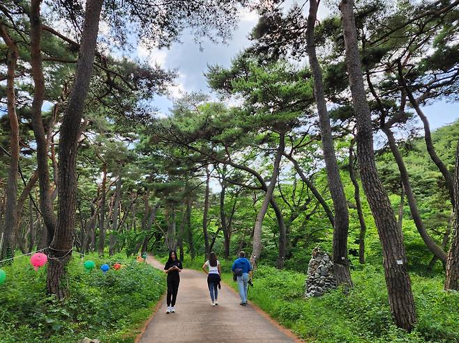 아산 천년의 숲길