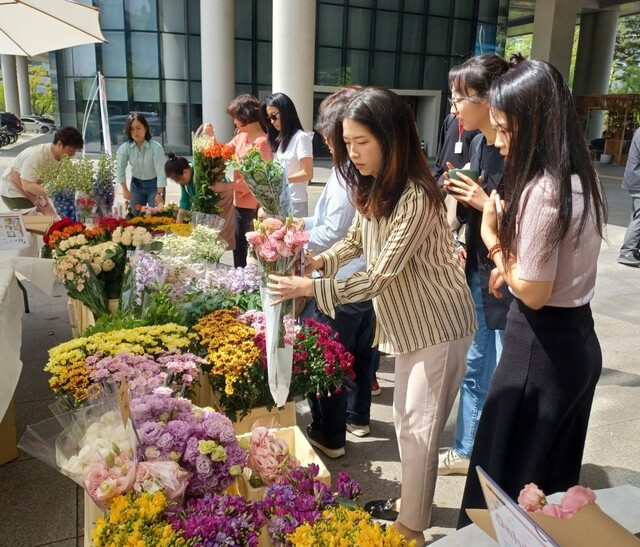 19일 정부세종청사에서 열린 ‘일상의 꽃 직거래 장터’ 행사에서 청사 근무 직원 등이 꽃을 고르고 있다. 한국화훼자조금협의회