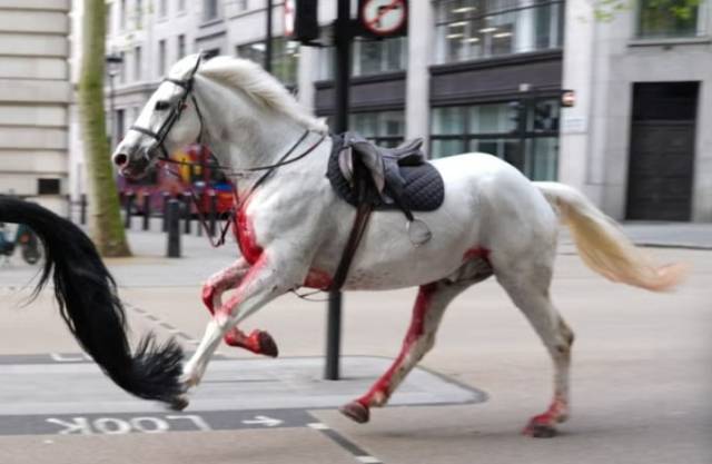 사진=더 타임스 캡처