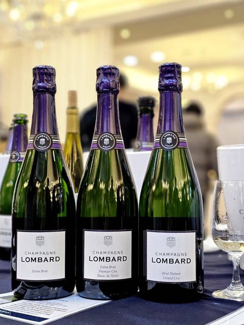 샴페인 롬바흐(Lombard). 최현태 기자