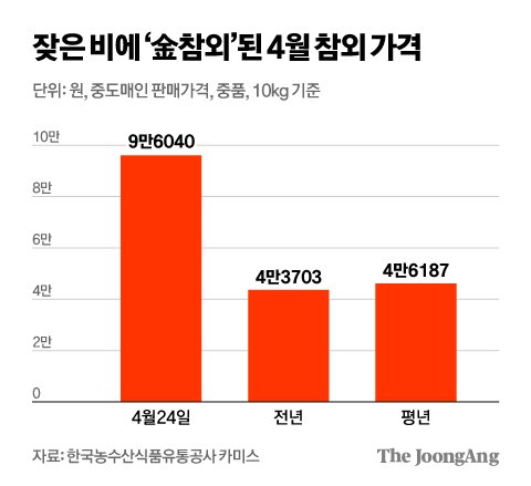 김영희 디자이너