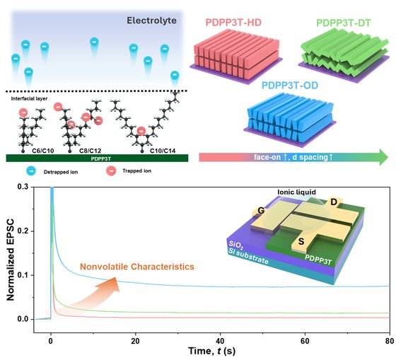 ▲ 곁사슬 제어 모식도