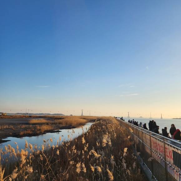 탄도바닷길에 갈 때는 만조와 간조시간을  체크해  바닷길을 따라 누에섬과 등대전망대를 구경할 수 있다.