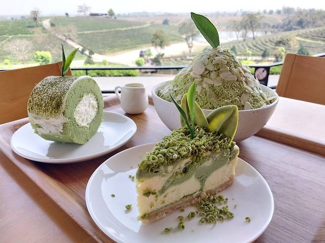 치앙라이 추이퐁 차농장에서 주문한 음료와 케이크. 사진 이환주 기자.