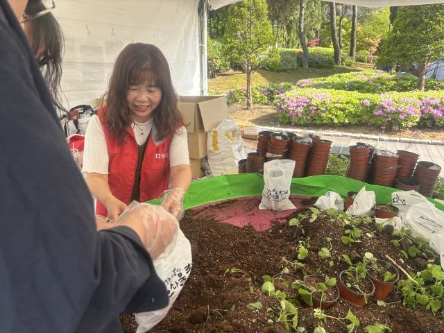 ▲ 강원n홍천 산나물 축제가 26~28일간 홍천 토리숲에서 열리는 가운데 산나물 모종심기 체험장이 인기를 끌고 있다.