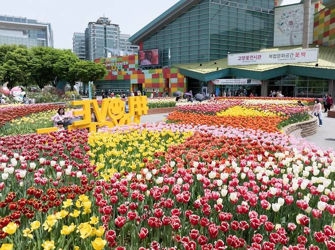 올해 꽃박람회는꽃전시관에서노래하는분수 광장까지 이어지는 공간에 장미원,주제정원등9가지 테마의 야외정원을 조성해 5월12일까지 개최된다. / 사진제공=김동우 기자