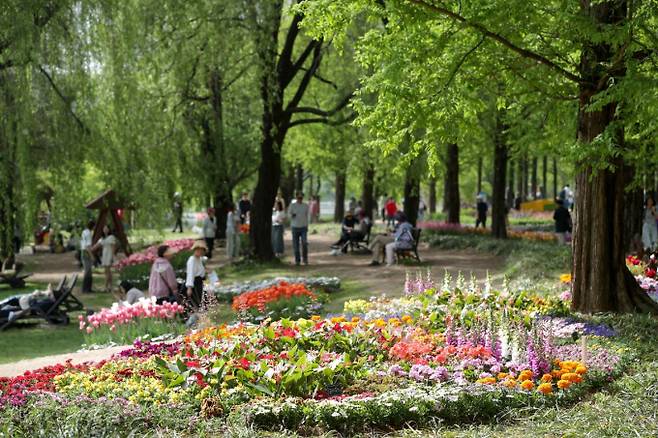 올해 꽃박람회는꽃전시관에서노래하는분수 광장까지 이어지는 공간에 장미원,주제정원등9가지 테마의 야외정원을 조성해 5월12일까지 개최된다. /사진제공=김동우 기자