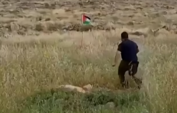 이스라엘의 20대 예비역 남성(사진)이 서안지구 점령촌에서 팔레스타인 국기를 걷어찼다가 부비트랩이 터지면서 부상했다