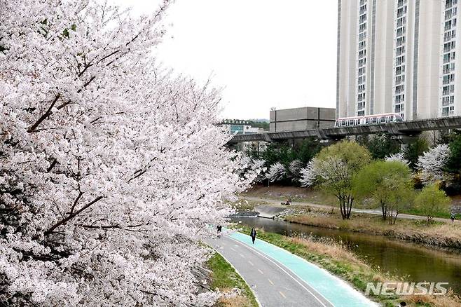 [의정부=뉴시스] 부용천 전경. (사진=의정부시 제공) 2024.04.29 photo@newis.com