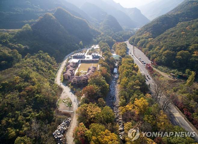 동해무릉건강숲 [연합뉴스 자료사진]