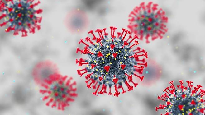 코로나바이러스는 호흡기와 소화기 감염병을 유발하는 바이러스 종류다. 게티이미지뱅크
