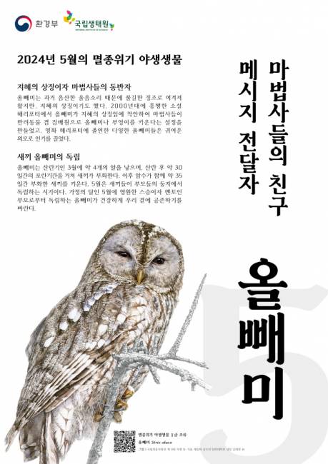 ▲ 5월의 야생생물 올빼미. 사진/환경부 제공