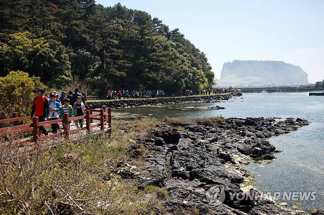 제주 식산봉과 주변 지질트레일 [연합뉴스 자료사진]