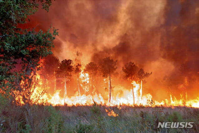 (자료사진=프랑스 남서부 산불, 뉴시스)