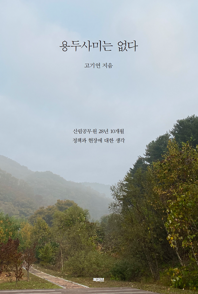 용두사미는 없다 <저자 : 고기연>