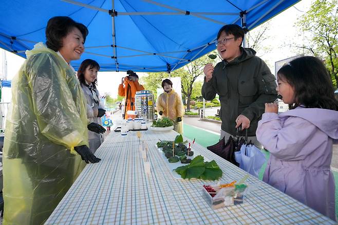 지난 2023년 열린 곰취 축제에 참여한 시민들이 곰취쌈을 맛보고 있다. 양구군 제공