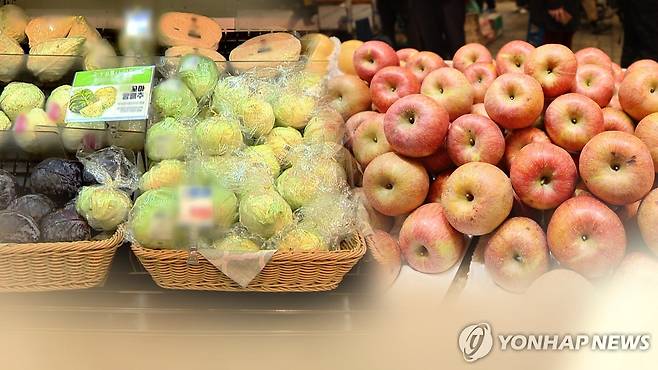 치솟는 사과·양배추 값에 생산자물가 넉달째 상승 (CG) [연합뉴스TV 제공]