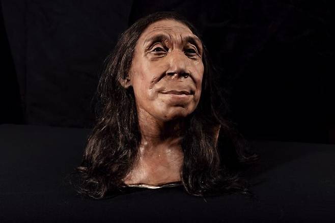 조립한 두개골 조각을 바탕으로 복원한 7만5천년 전 40대 네안데르탈인 여성의 얼굴. 케임브리지대 제공