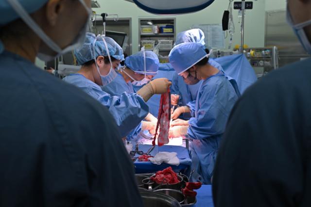 박지윤 분당서울대병원 산부인과 교수가 지난 3월 14일 수술실에서 제왕절개 수술을 집도하고 있다. 정다빈 기자