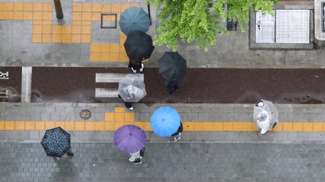 지난해 어린이날 서울 세종대로에서 우산을 쓴 시민들이 이동하고 있다. /사진=뉴스1