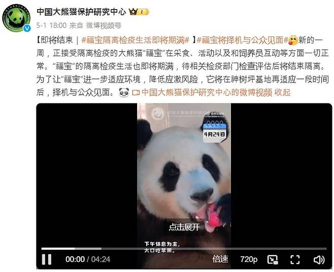 [서울=뉴시스] 중국판다보호연구센터가 자이언트 판다 '푸바오'의 격리 생활이 곧 종료된다고 밝혔다.(사진=중국판다보호연구센터 웨이보 캡처) *재판매 및 DB 금지