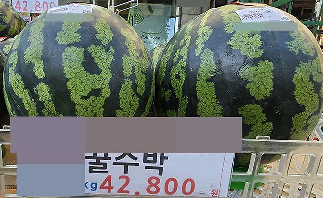 지난 2일 서울 한 마트에서 수박이 4만2800원에 판매되고 있다. 사진=김경호 기자