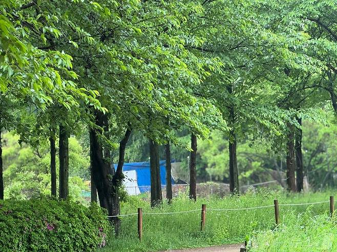 비내리는 5일 어린이날 인천시 남동구 인천대공원에 사람없이 한적한 모습을 보이고 있다.2024.5.5 ⓒ News1 박소영 기자