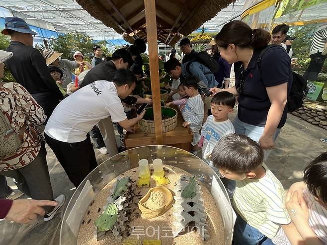 함평나비축제 곤충생태체험/사진-함평군