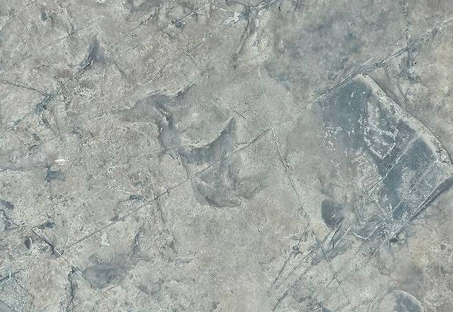 지난달 30일 전남 해남군 황산면 우항리 공룡화석지에서 촬영한 '물칼퀴 새' 발자국 화석. 공룡과 익룡, 새의 발자국이 동일 지층에서 발견된 건 해남이 세계 최초다./해남(전남)=송복규 기자