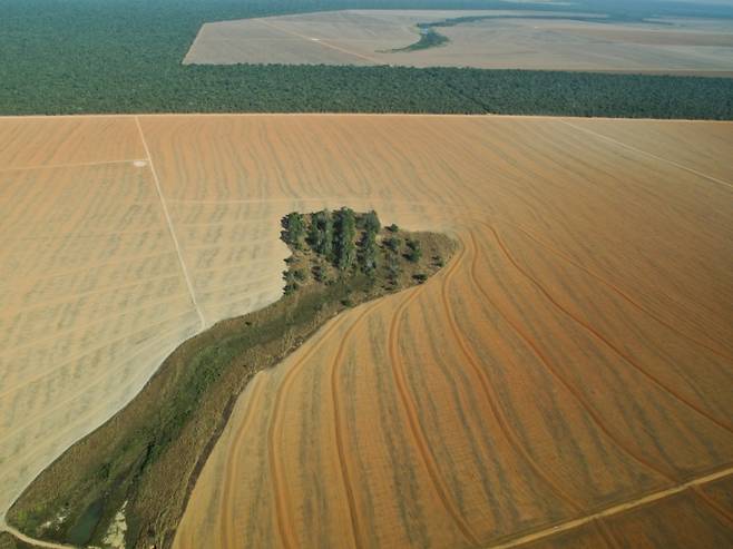 브라질 마투그로수의 플랜테이션. 아마존 열대우림을 개간한 것이다. /사진=Riccardo Pravettoni/GRID-Arendal