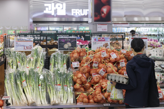 '주요 선진국ㆍ대만과 비교해 우리나라의 과일·채소 가격이 크게 뛰었다는 조사 결과가 나온 지난달 22일 서울의 한 대형마트에서 시민들이 장을 보고 있다. 연합뉴스