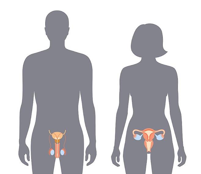 사진=클립아트코리아