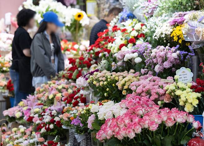 어버이날을 이틀 앞둔 6일 서울 서초구 양재꽃시장을 찾은 시민들이 카네이션을 살펴보고 있다. /뉴스1