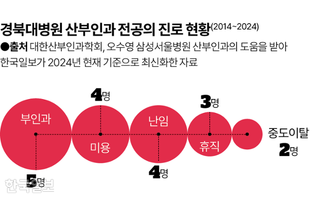 그래픽 = 김대훈 기자