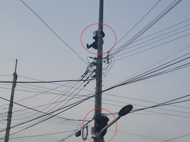 자난달 말 파주시가 CCTV를 설치하려 하자 용주골 여성 2명(빨간원 안)이 아무런 안전장치 없이 전신주 위로 올라가 CCTV 설치를 막고 있다. 임명수 기자