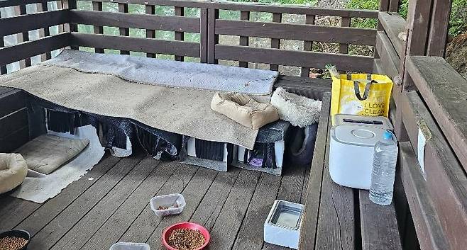 파주 심학산 오두막 쉼터를 차지한 고양이 집과 사료들. 사진=보배드림