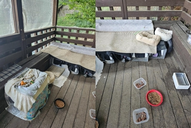 경기 파주 심학산의 한 등산로 쉼터가 고양이집으로 변한 모습. 온라인 커뮤니티