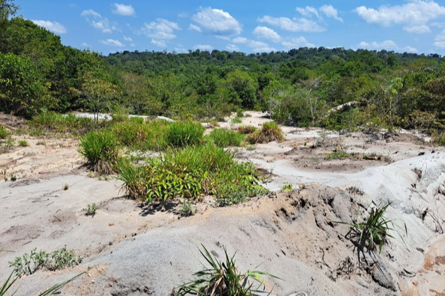 브라질 아마조나스주 마나우스 인근 시골 마을 주변 숲이 모래밭으로 변한 모습. 2022년 10월6일 촬영한 사진으로 한때 나무로 우거졌던 곳이 우기에도 물이 제대로 흐르지 않은 곳으로 변해 있다. 연합뉴스