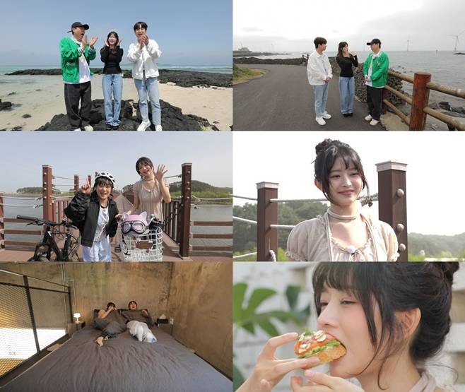 티브이데일리 포토