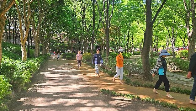 서대문독립공원 내 맨발길 [서대문구 제공. 재판매 및 DB 금지]