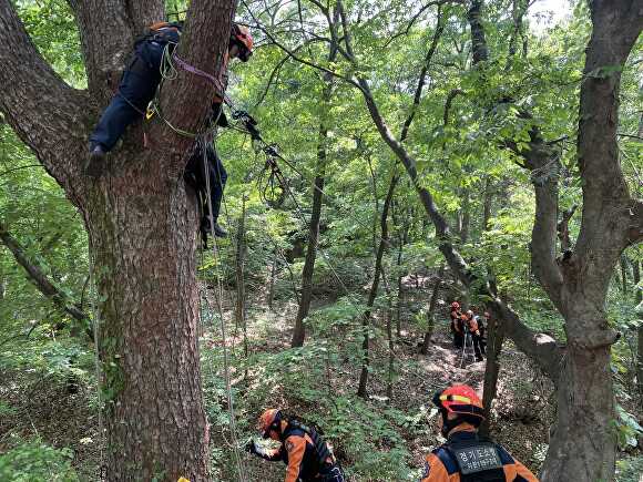 지난 9일 이천소방대원이 설봉공원에서 산악사고 대비 특별구조훈련을 하고 있다. [사진=이천소방서]