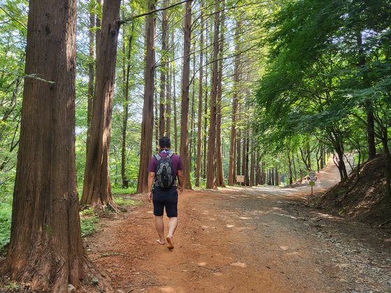 계족산 황톳길 맨발걷기. 김영주 기자