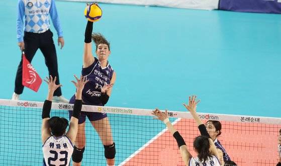 도로공사에서 활약했던 반야 부키리치. 2024~25시즌엔 정관장 유니폼을 입는다. 연합뉴스