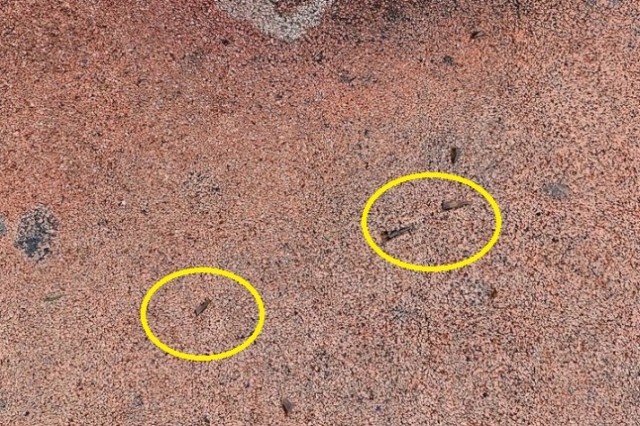 경북 구미시의 한 놀이터 미끄럼틀 인근 바닥에 널브러진 깨진 유리병 조각. 온라인 커뮤니티 캡처